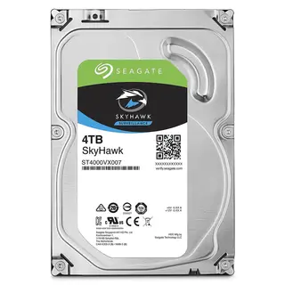 Picture 1: Seagate Surveillance HDD